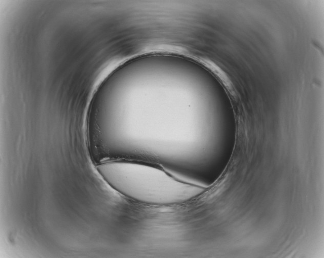 X0000095941199200801110847