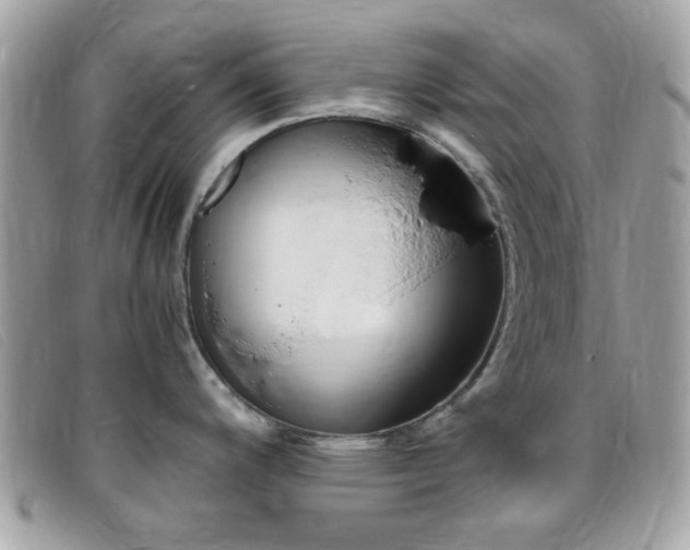 X0000095941200200801110847