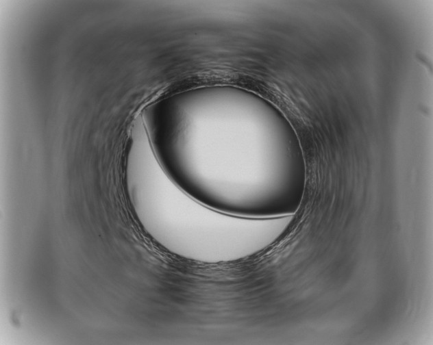 X0000095941201200801110847