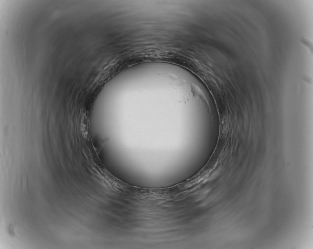 X0000095941202200801110847