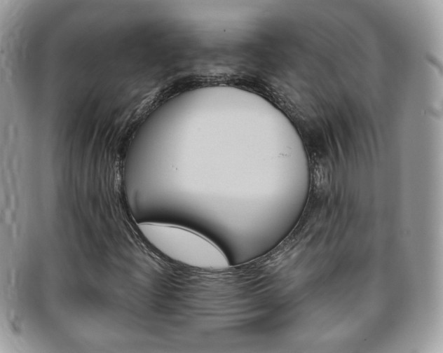 X0000095941204200801110847
