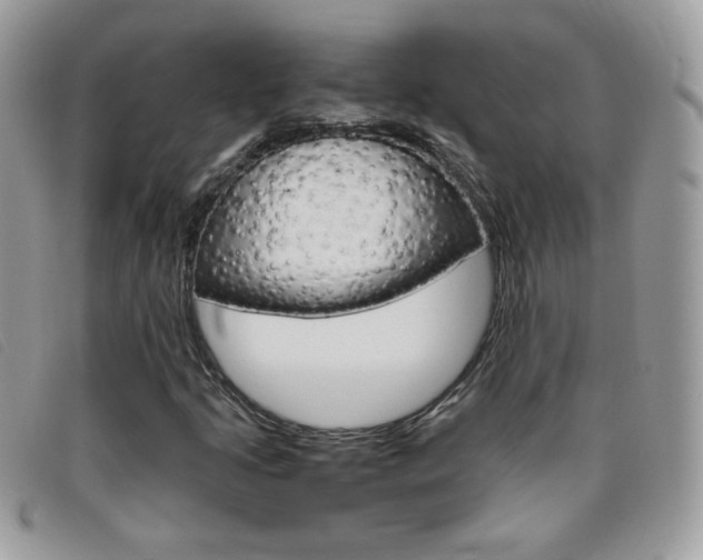 X0000095941205200801110847