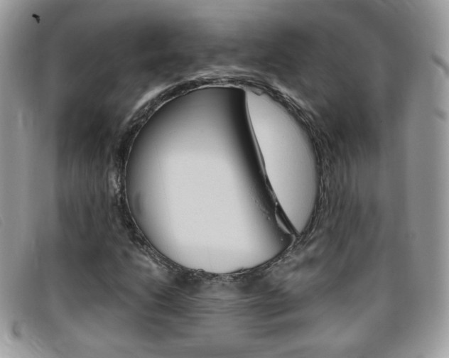 X0000095941206200801110847