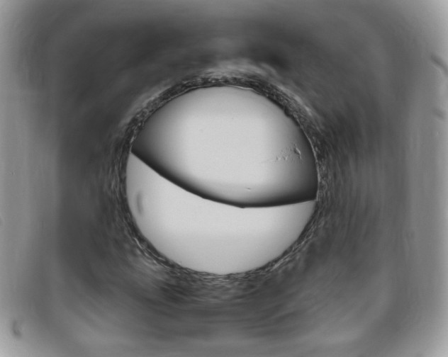 X0000095941207200801110847