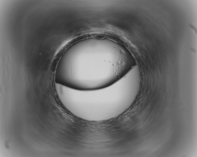 X0000095941208200801110847