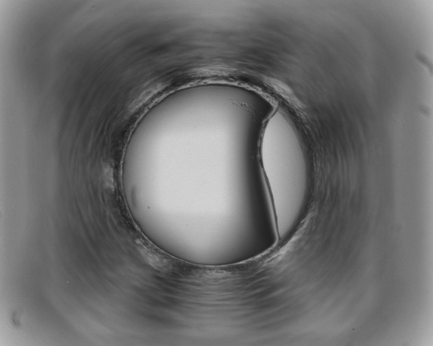 X0000095941209200801110847