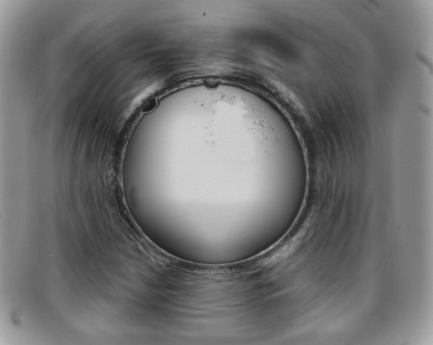 X0000095941210200801110847