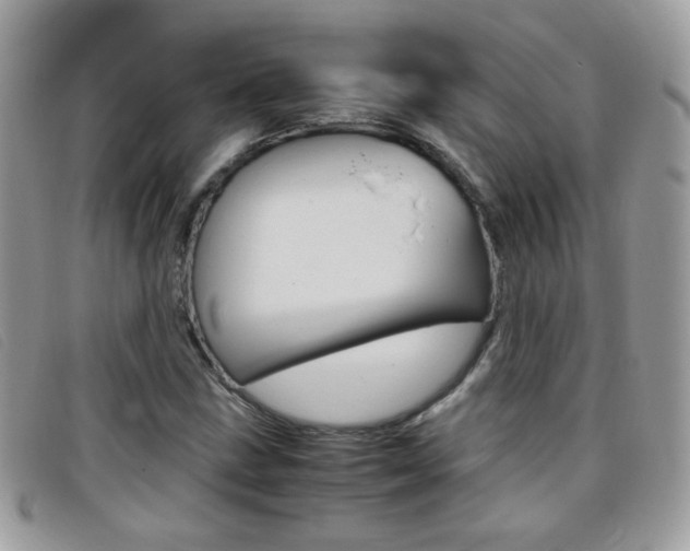 X0000095941211200801110847