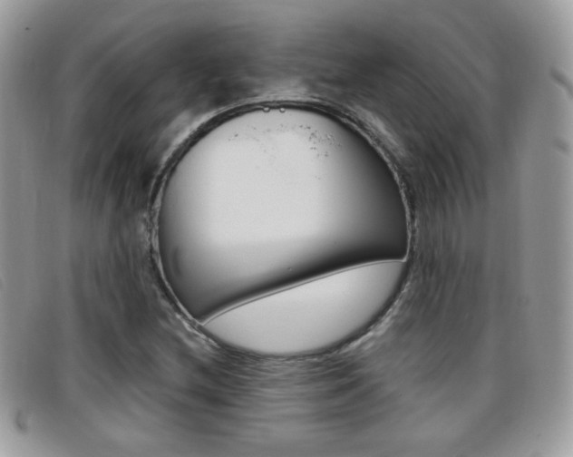 X0000095941212200801110847