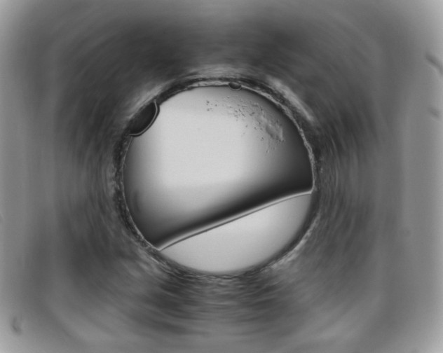 X0000095941213200801110847