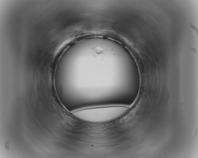 X0000095941214200801110847