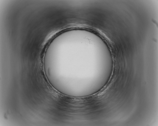 X0000095941215200801110847