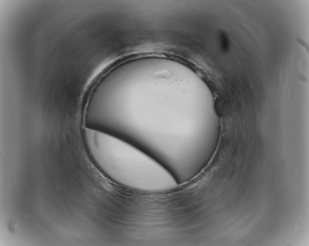 X0000095941216200801110847