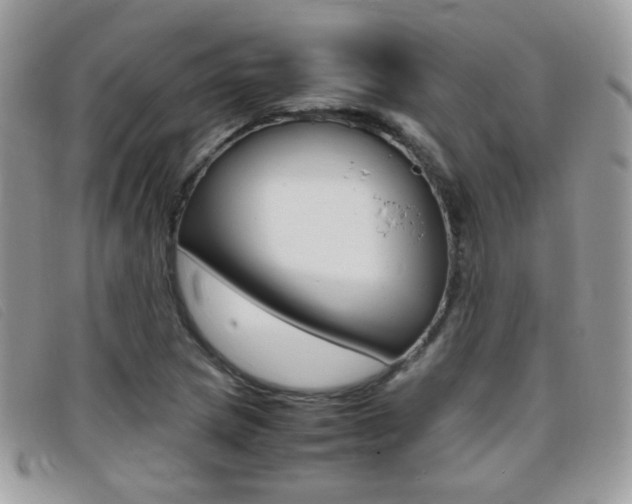 X0000095941217200801110847