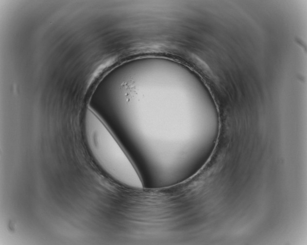 X0000095941218200801110847