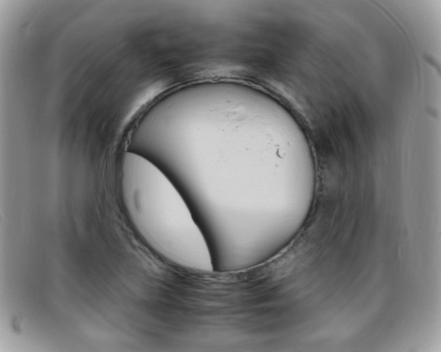 X0000095941219200801110847