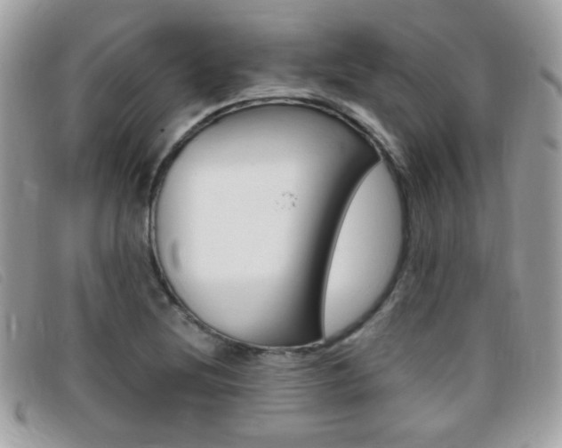X0000095941220200801110847
