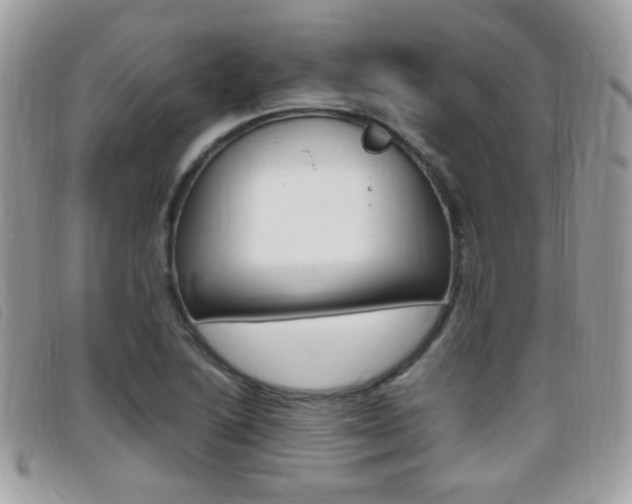 X0000095941222200801110847