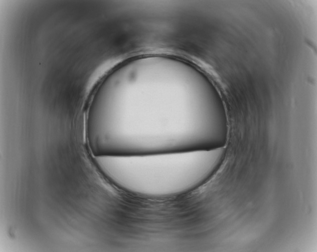 X0000095941223200801110847