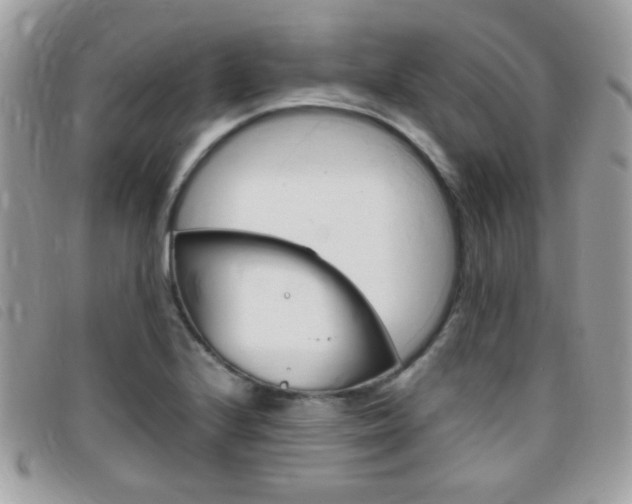 X0000095941224200801110847
