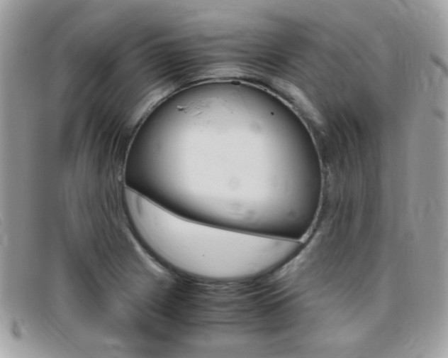 X0000095941225200801110847