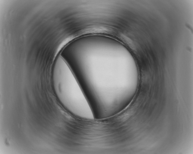 X0000095941226200801110847