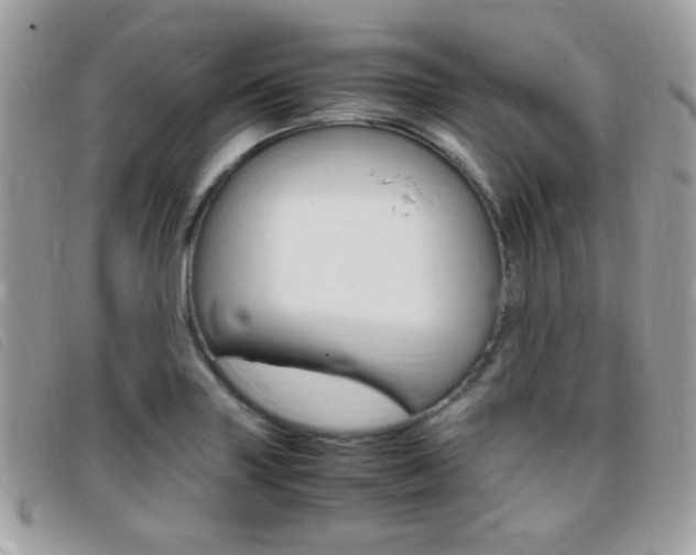 X0000095941227200801110847