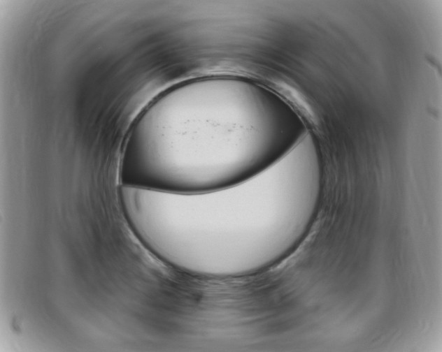 X0000095941228200801110847
