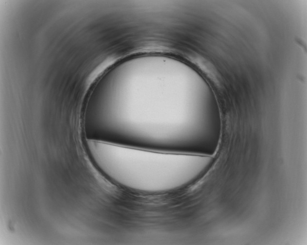 X0000095941229200801110847