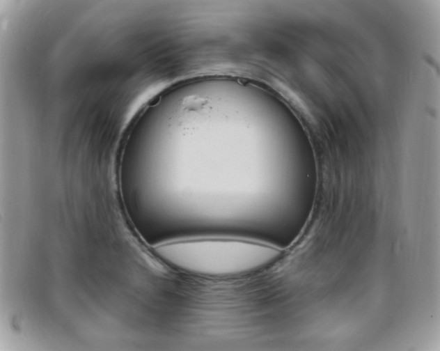 X0000095941230200801110847