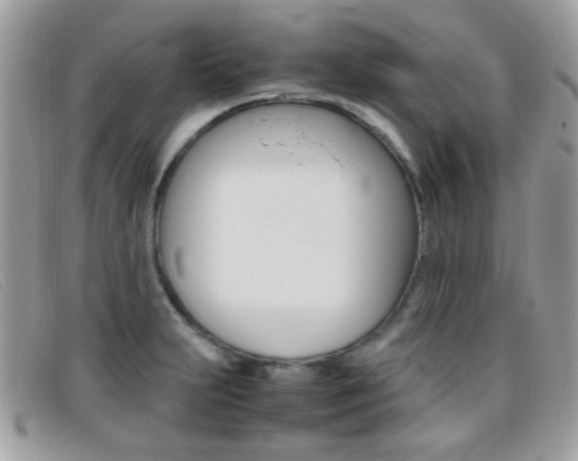 X0000095941231200801110847