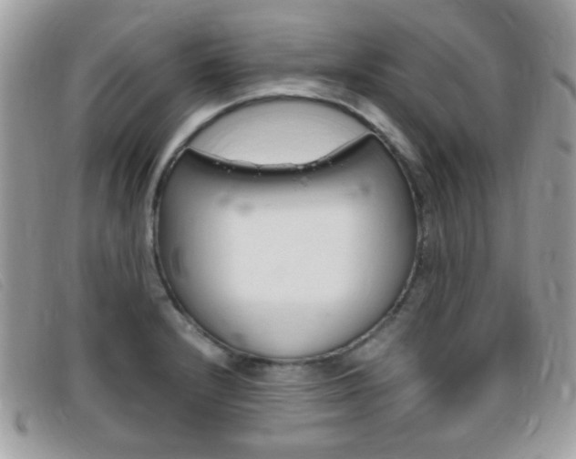 X0000095941232200801110847