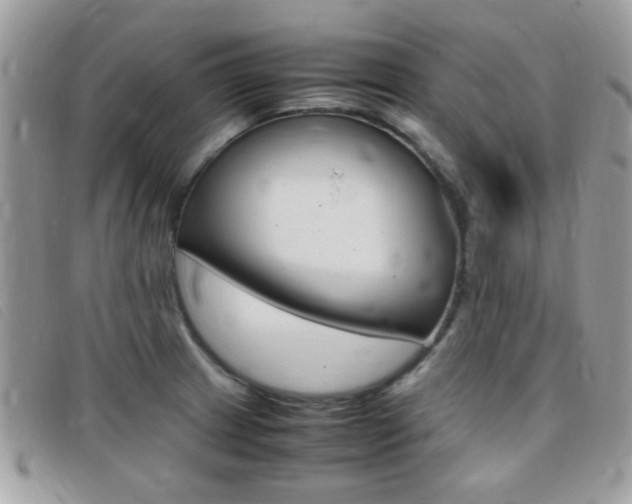 X0000095941233200801110847