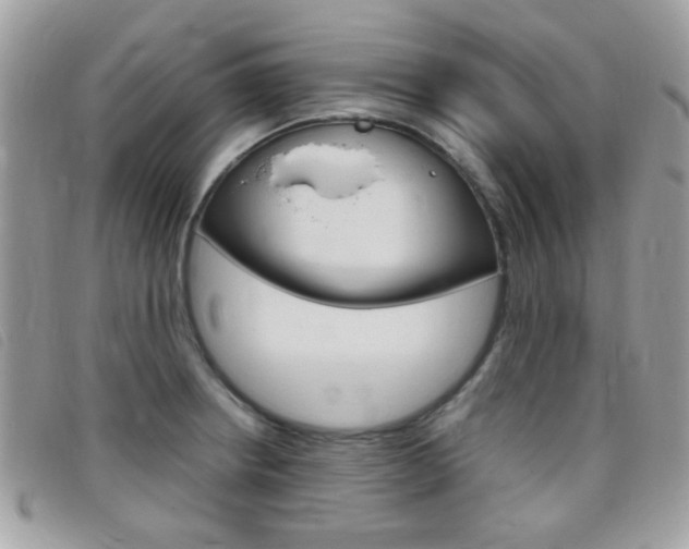 X0000095941234200801110847
