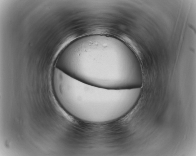 X0000095941235200801110847