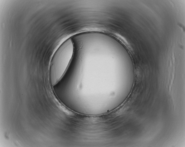 X0000095941236200801110847