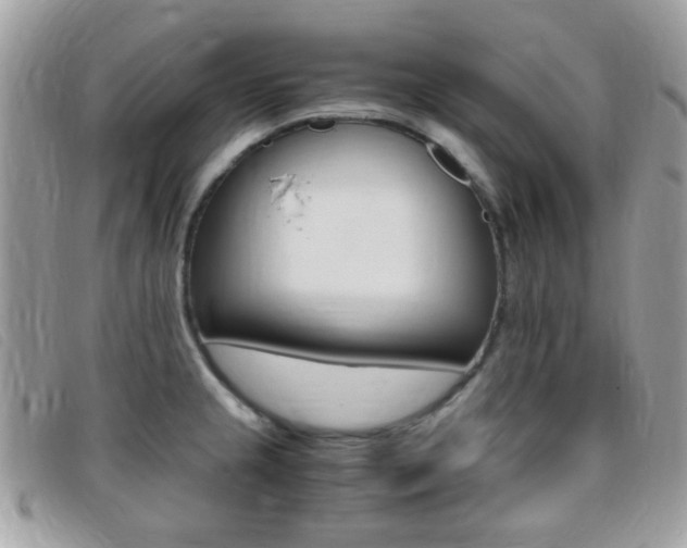 X0000095941237200801110847