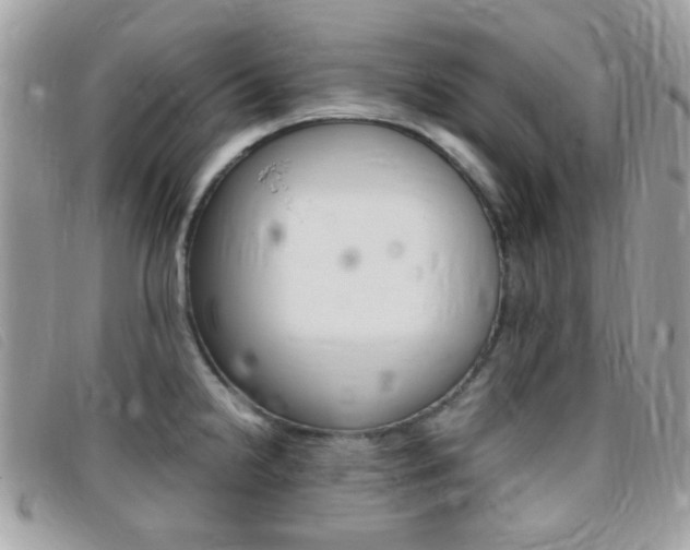 X0000095941238200801110847