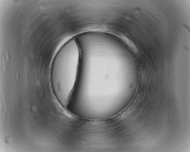 X0000095941240200801110847