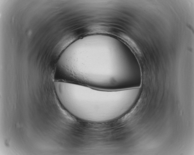 X0000095941241200801110847