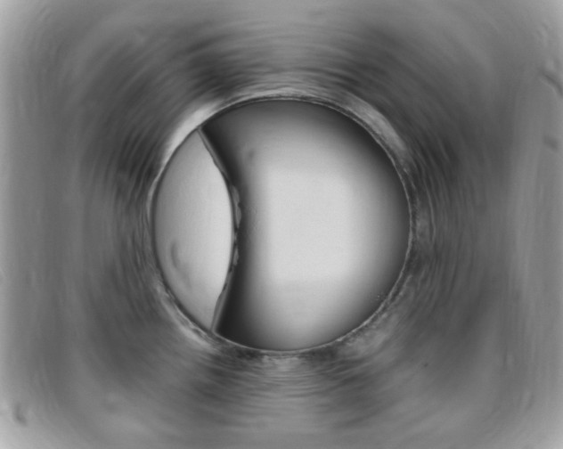 X0000095941242200801110847