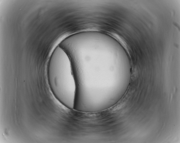 X0000095941243200801110847