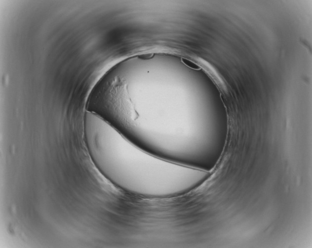 X0000095941244200801110847