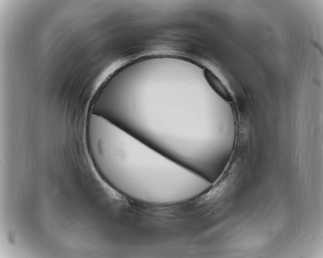 X0000095941245200801110847