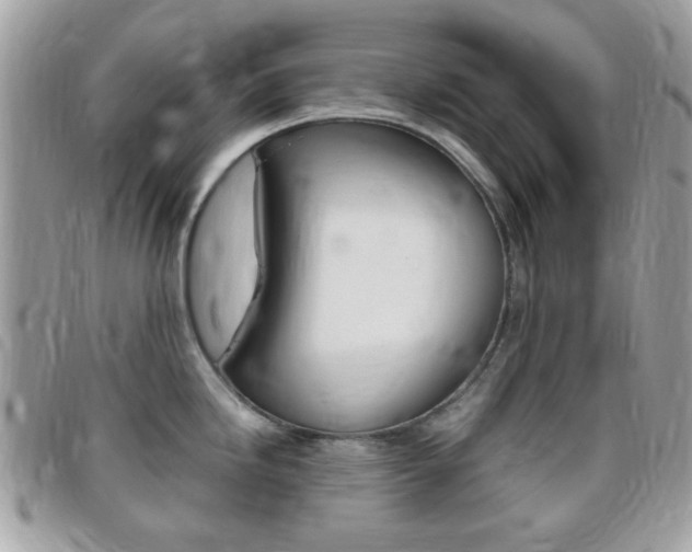 X0000095941246200801110847