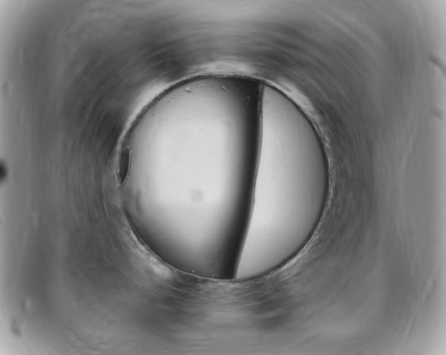 X0000095941248200801110847