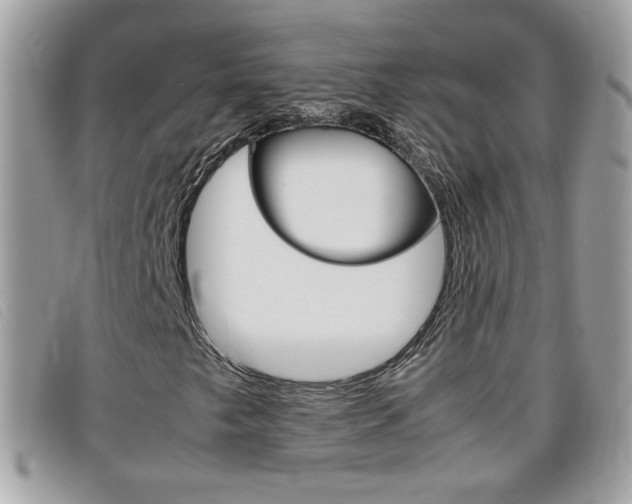 X0000095941249200801110847