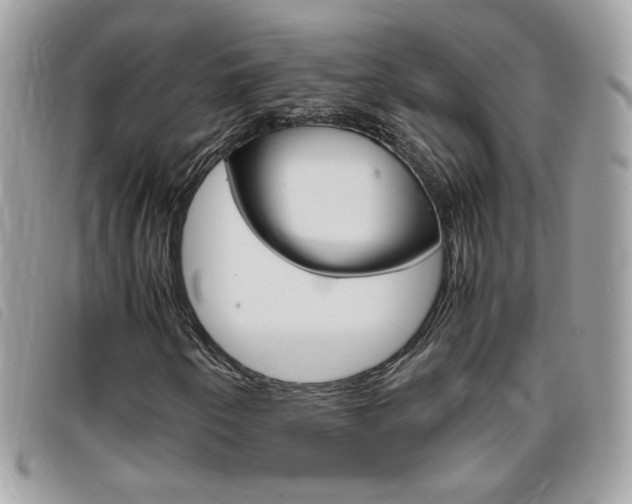 X0000095941250200801110847