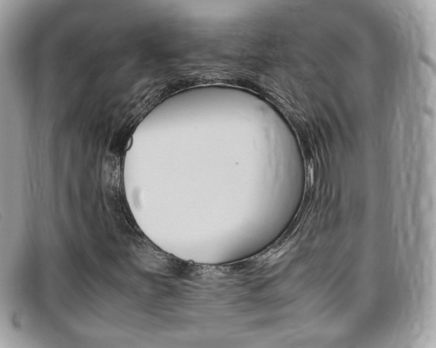 X0000095941251200801110847