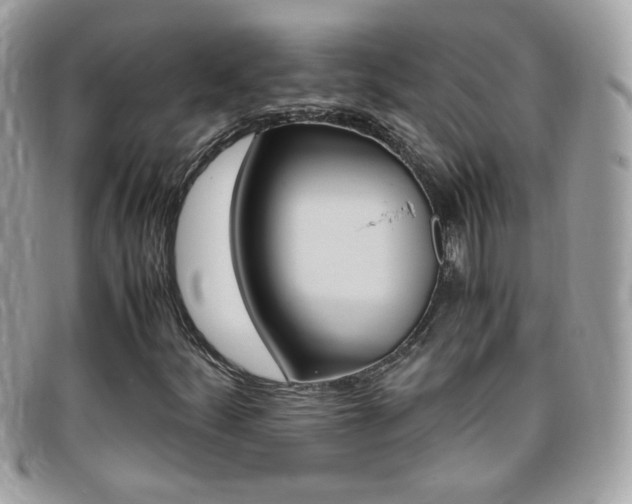 X0000095941252200801110847